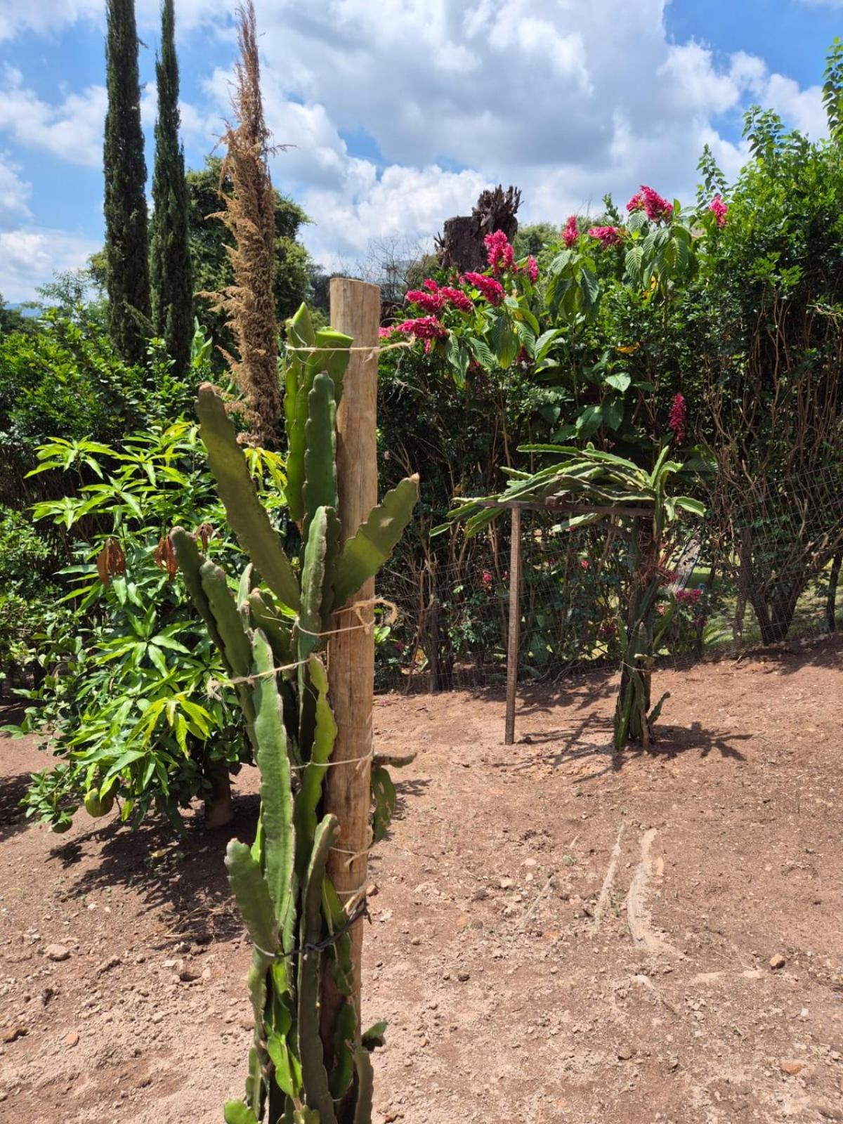 Pousada Verde Villas Brumadinho Exterior photo